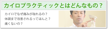 カイロプラクティックとはどんなもの？
カイロでなぜ痛みが取れるの？
体調まで改善されるってほんと？
痛くないの？